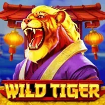 Login No Tsars Casino